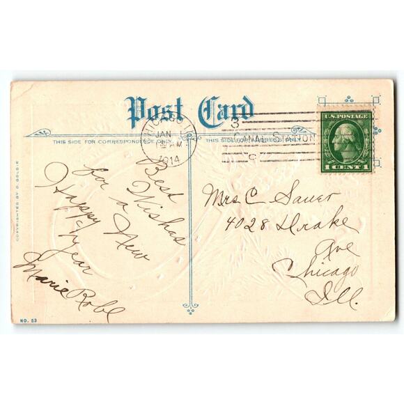 Prosperous New Year Postcard Horse Shoe Rustic Pinecones D Goldie 1914 Embossed - Picture 2 of 2